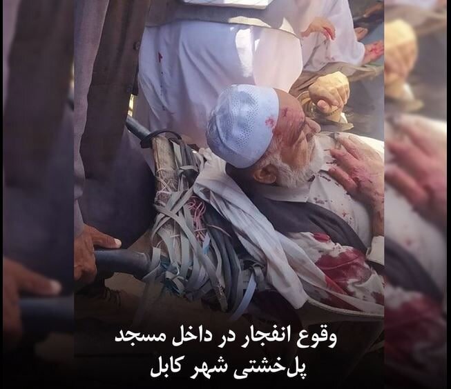 از فروپاشی کابینه رژیم صهیونیستی تا شیوع آنفولانزای مرغی در آمریکا و کانادا