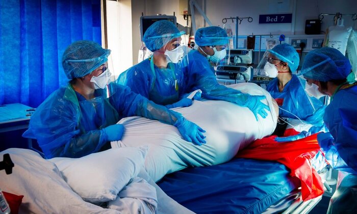 از فروپاشی کابینه رژیم صهیونیستی تا شیوع آنفولانزای مرغی در آمریکا و کانادا