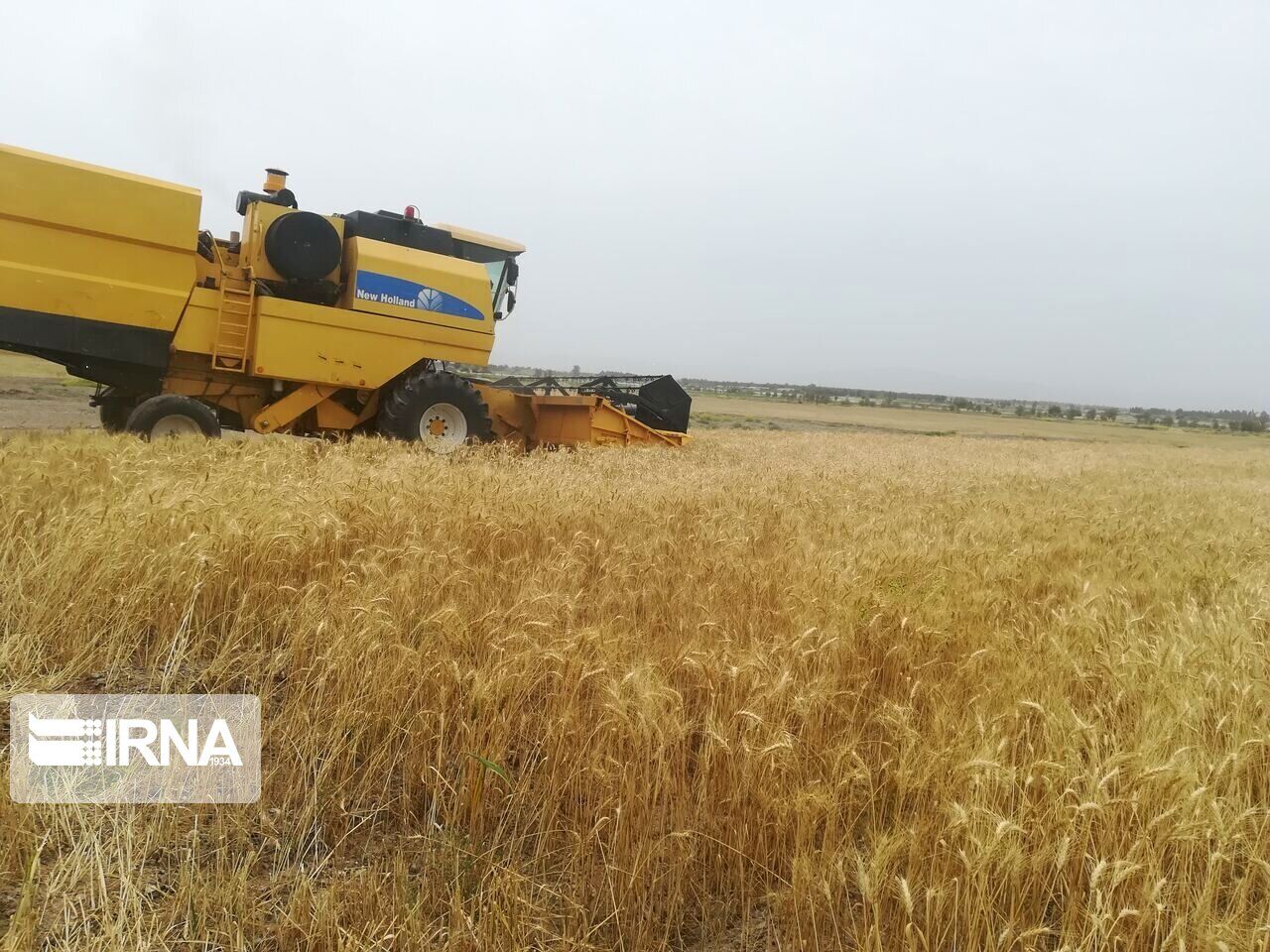 بیش از ۱۱۵ میلیارد ریال غرامت بیمه به کشاورزان شادگانی پرداخت شد