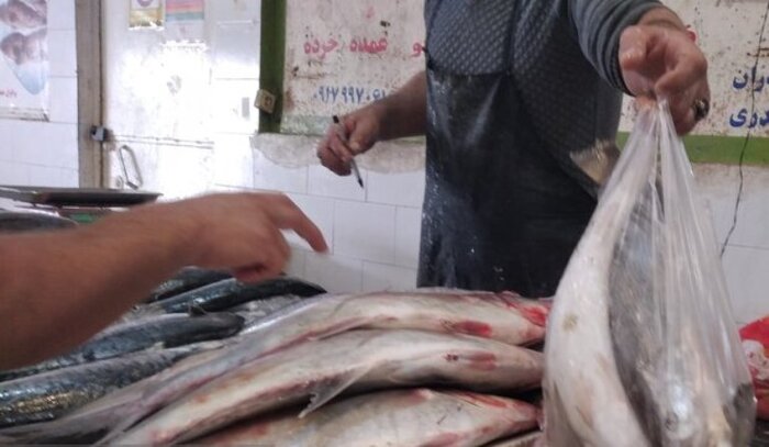 قیمت ماهی در گناوه روند کاهشی گرفت 