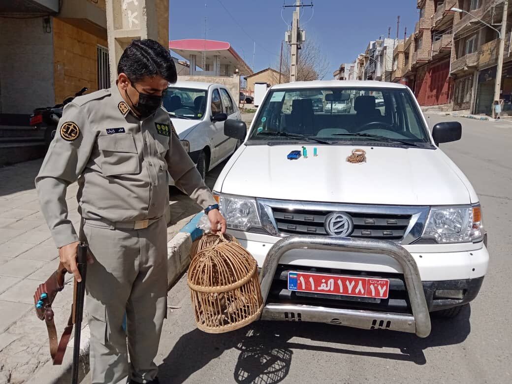 ۱۵ صیاد و شکارچی متخلف در جنوب آذربایجان‌غربی دستگیر شدند