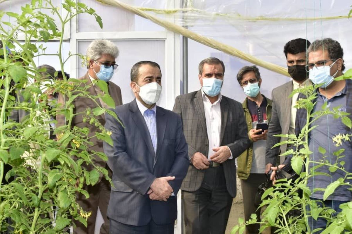 تحقق وعده تقویت برق مجتمع گلخانهای شهرستان درمیان تحقق وعده تقویت برق مجتمع گلخانهای شهرستان درمیان