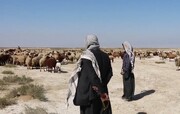 داعش ۵ چوپان عراقی را ربود