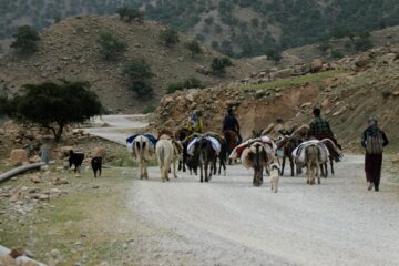 کوچ عشایر بختیاری خوزستان به ییلاق