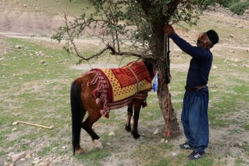 کوچ عشایر بختیاری خوزستان به ییلاق