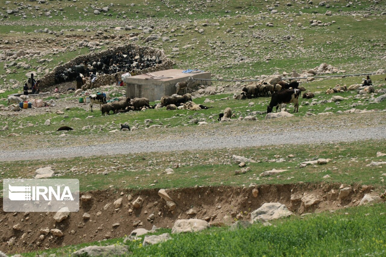 معوقات آبرسانی سیار به عشایر خراسان جنوبی پرداخت شد معوقات آبرسانی سیار به عشایر خراسان جنوبی پرداخت شد