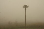 خوزستان؛ ایستاده در غبار
