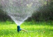 انتقاد مدیر عامل آب منطقه‌ای یزد از آبیاری فضای سبز در زمان اوج مصرف 
