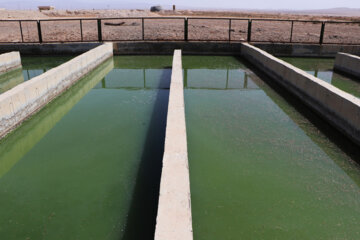 استفاده از پساب فاضلاب، بهینه ترین منبع تامین آب منطقه ویژه اقتصادی زنجان است
