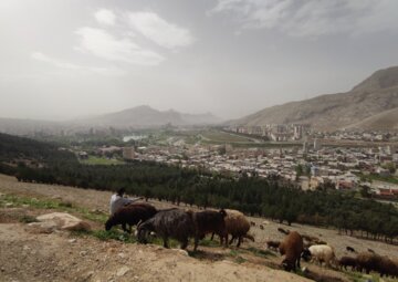 مهمان ناخوانده در لرستان