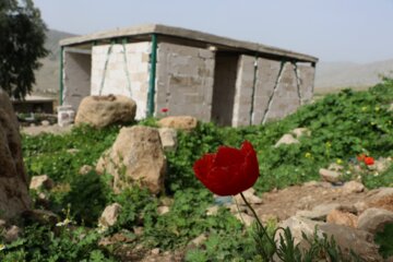 روند بازسازی منازل زلزله زدگان اندیکا در شمال خوزستان