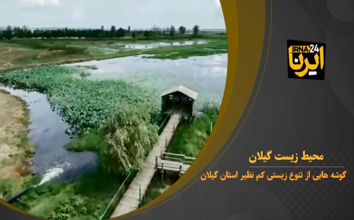 فیلم: حیات وحش بهاره گیلان 