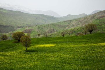 طبیعت بهاری مسیر کامیاران به سروآباد