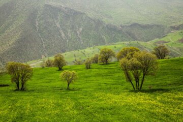 طبیعت بهاری مسیر کامیاران به سروآباد