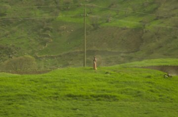 طبیعت بهاری مسیر کامیاران به سروآباد