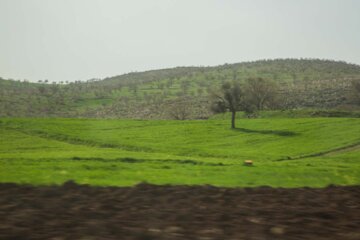 طبیعت بهاری مسیر کامیاران به سروآباد