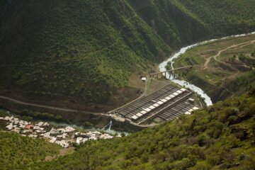 طبیعت بهاری مسیر کامیاران به سروآباد