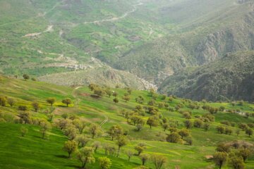 طبیعت بهاری مسیر کامیاران به سروآباد