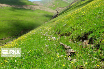 Picturesque landscapes from Gilan Province's Rezvanshahr