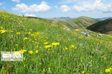 Picturesque landscapes from Gilan Province's Rezvanshahr