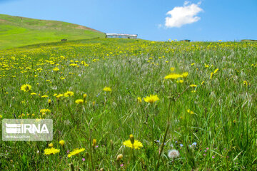 Picturesque landscapes from Gilan Province's Rezvanshahr