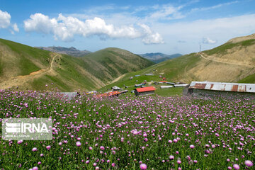 Picturesque landscapes from Gilan Province's Rezvanshahr