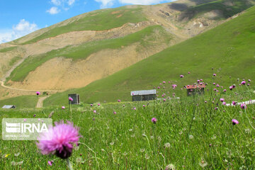 Picturesque landscapes from Gilan Province's Rezvanshahr