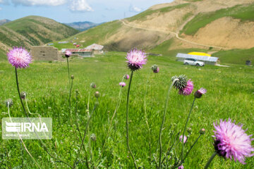 Picturesque landscapes from Gilan Province's Rezvanshahr