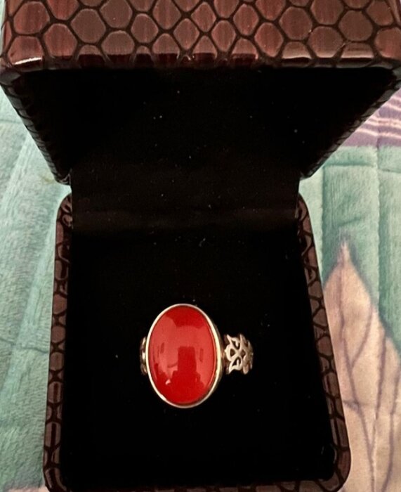 قهرمانی که انگشتر اهدایی رهبری را برای آزادی زندانیان به فروش گذاشت