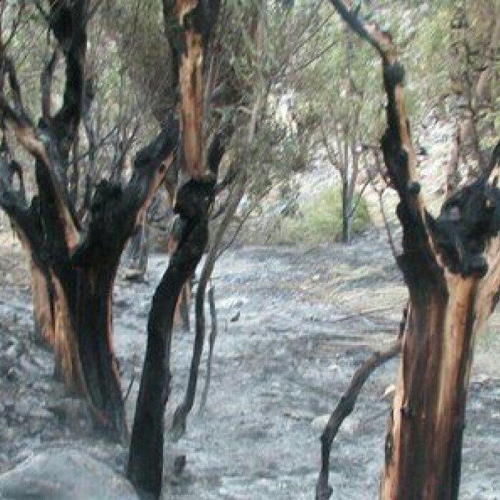 گیلان هفته: زخم سراوان تا دلجویی وزیر از دانشآموز تنبیه شده آستارایی