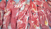 تکذیب توزیع گوشت الاغ در کوهبنان/ فرماندار: علت پلمب فروشگاه تبلیغ غیرواقع بود