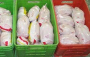۱۸۰۰ کیلوگرم گوشت مرغ فاسد در سبزوار نابود شد