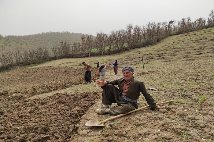 روستای "سویرو" بانه شهری برای لکلکها