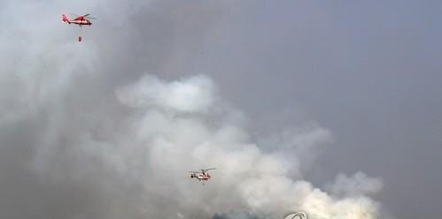 از رایزنی برزیل برای واردات کود از ایران تا بحران هزینههای زندگی درانگلیس