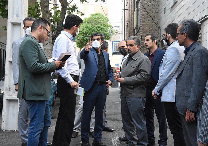 رفع مشکلات پلهای مکانیزه عابر پیاده پایتخت / بهسازی جاده امام رضا (ع) 8