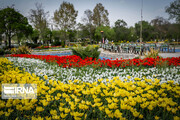 Tulpenfest in Stadt Arak