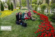 Festival des tulipes à Arak