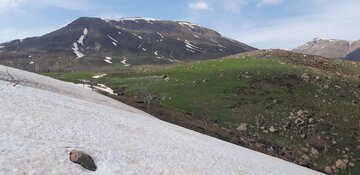 روستای یای شهری مراغه