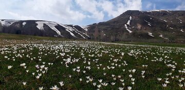 روستای یای شهری مراغه