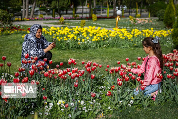 Festival de los tulipanes en el centro de Irán
