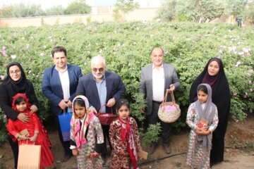 جشنواره گل محمدی در شهرک صنعتی جهان‌آباد میبد