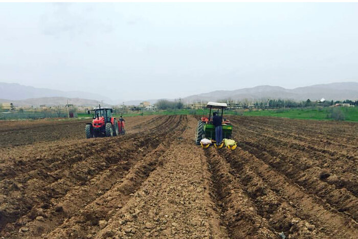 برنامه تولید ۱۸۰ هزار تن بذر سیب زمینی در استان اردبیل تشریح شد