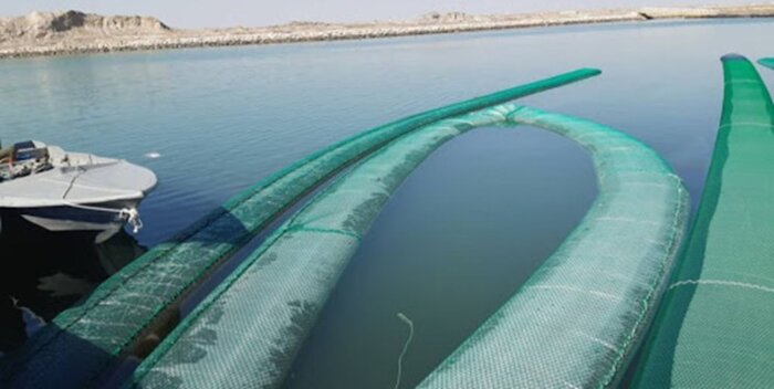 ۶۹ هزار لیتر گازوئیل قاچاق در قشم کشف شد