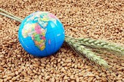 اندیشکده بلژیکی: بیش از ۱۳ میلیون نفر مورد جدید در معرض سوءتغذیه هستند