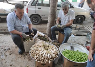 بازار داغ گیاهان بهاری در خرم‌آباد