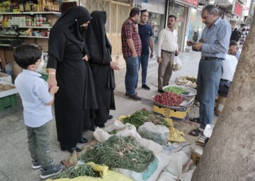 بازار داغ گیاهان بهاری در خرم‌آباد