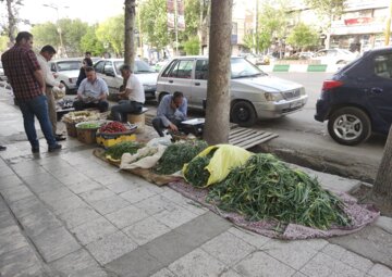 بازار داغ گیاهان بهاری در خرم‌آباد