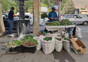 بازار داغ گیاهان بهاری در خرم‌آباد