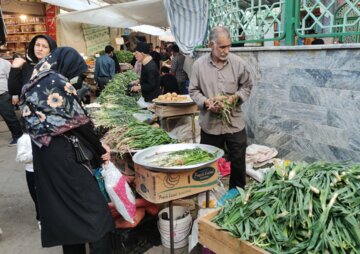 بازار داغ گیاهان بهاری در خرم‌آباد