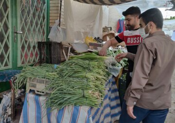 بازار داغ گیاهان بهاری در خرم‌آباد